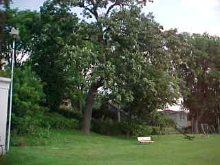 Aug-20-2000::MVC-206E.JPG